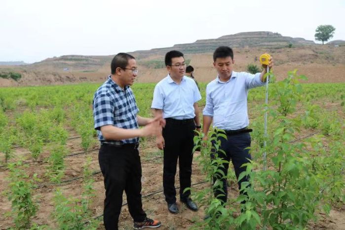&#27431;&#23453;&#32593;&#23448;&#26041;&#31449;&#20837;&#21475;&#45;&#27431;&#23453;&#40;&#20013;&#22269;&#41;