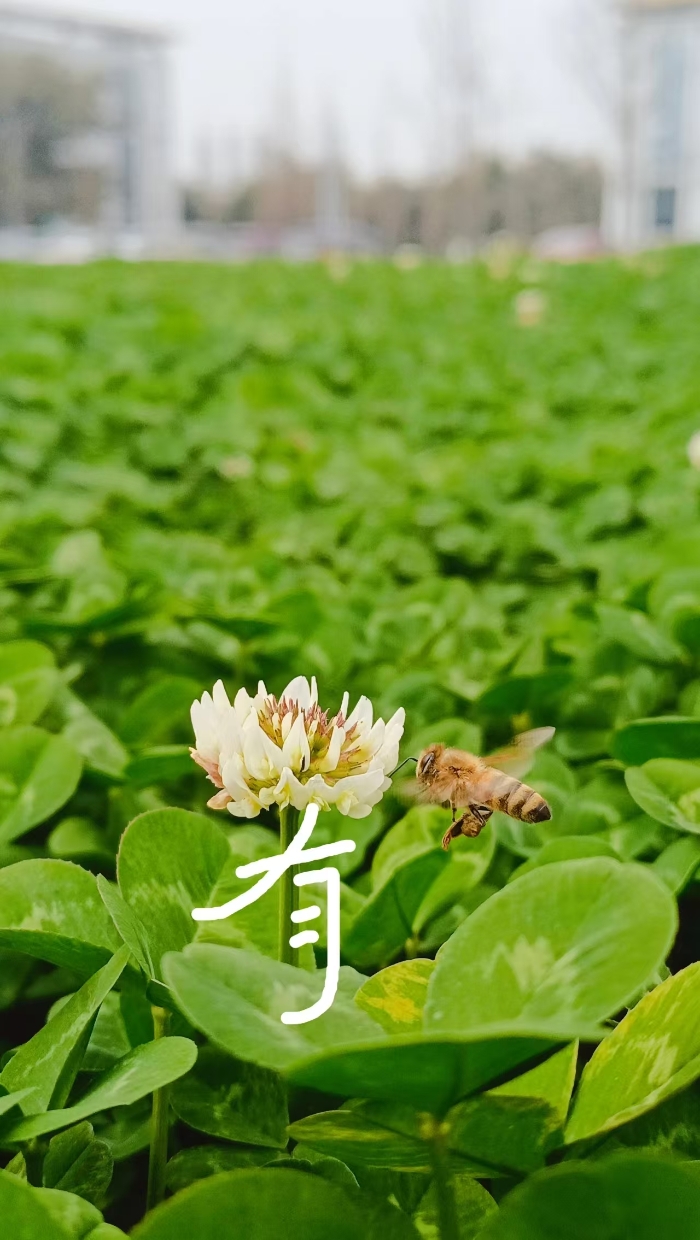 &#27431;&#23453;&#32593;&#23448;&#26041;&#31449;&#20837;&#21475;&#45;&#27431;&#23453;&#40;&#20013;&#22269;&#41;