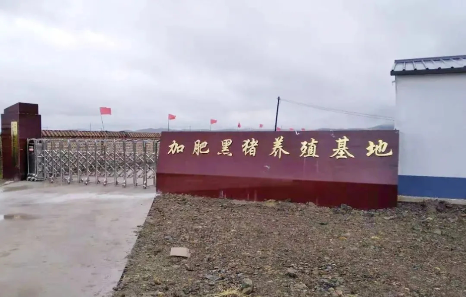 &#27431;&#23453;&#32593;&#23448;&#26041;&#31449;&#20837;&#21475;&#45;&#27431;&#23453;&#40;&#20013;&#22269;&#41;