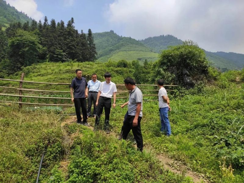 &#27431;&#23453;&#32593;&#23448;&#26041;&#31449;&#20837;&#21475;&#45;&#27431;&#23453;&#40;&#20013;&#22269;&#41;